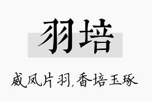 羽培名字的寓意及含义