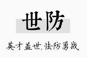 世防名字的寓意及含义