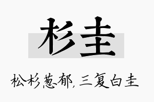 杉圭名字的寓意及含义