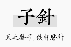 子针名字的寓意及含义