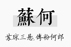 苏何名字的寓意及含义