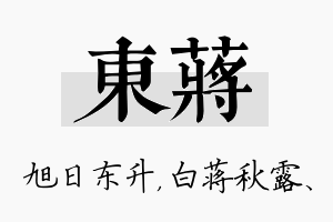 东蒋名字的寓意及含义