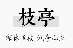 枝亭名字的寓意及含义