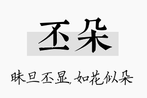 丕朵名字的寓意及含义