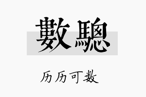 数骢名字的寓意及含义