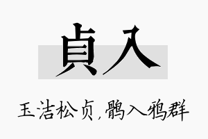 贞入名字的寓意及含义