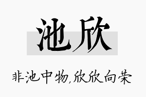 池欣名字的寓意及含义