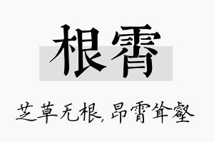 根霄名字的寓意及含义