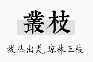 丛枝名字的寓意及含义