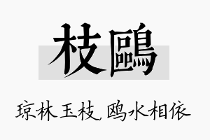 枝鸥名字的寓意及含义