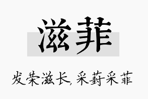 滋菲名字的寓意及含义