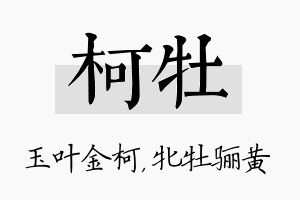 柯牡名字的寓意及含义