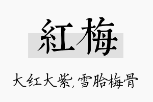 红梅名字的寓意及含义