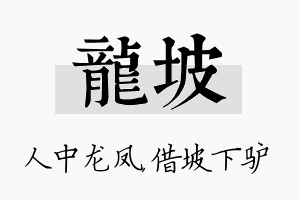 龙坡名字的寓意及含义