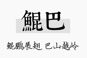 鲲巴名字的寓意及含义