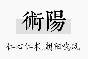 术阳名字的寓意及含义