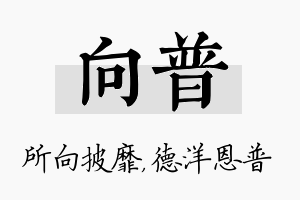 向普名字的寓意及含义