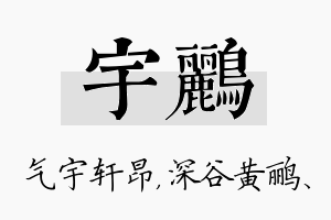 宇鹂名字的寓意及含义