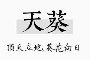 天葵名字的寓意及含义