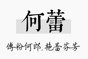 何蕾名字的寓意及含义