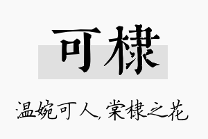 可棣名字的寓意及含义