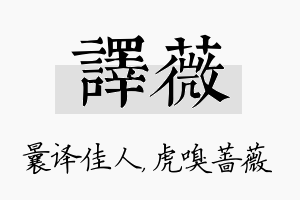 译薇名字的寓意及含义