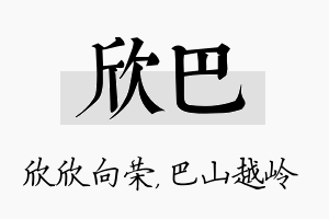 欣巴名字的寓意及含义