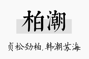 柏潮名字的寓意及含义