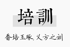 培训名字的寓意及含义