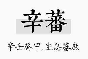 辛蕃名字的寓意及含义