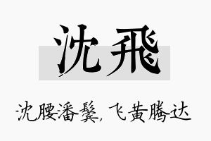 沈飞名字的寓意及含义