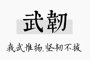 武韧名字的寓意及含义