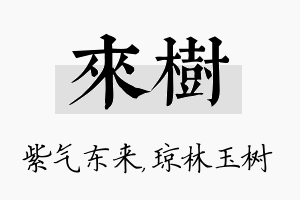 来树名字的寓意及含义