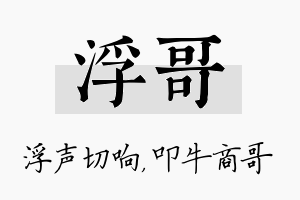 浮哥名字的寓意及含义