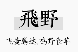 飞野名字的寓意及含义