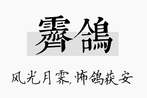 霁鸽名字的寓意及含义