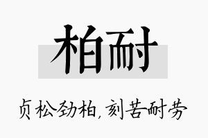 柏耐名字的寓意及含义