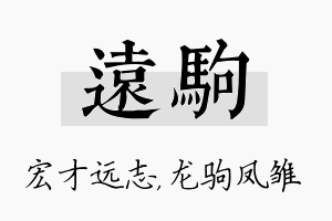 远驹名字的寓意及含义