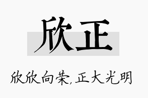 欣正名字的寓意及含义