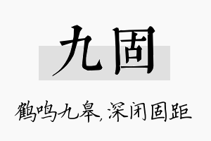 九固名字的寓意及含义