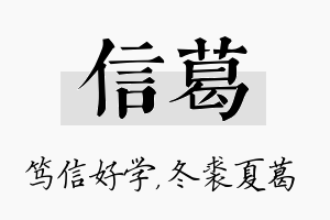 信葛名字的寓意及含义