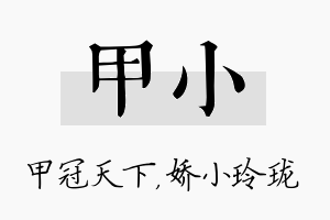 甲小名字的寓意及含义