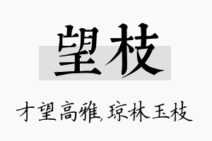 望枝名字的寓意及含义