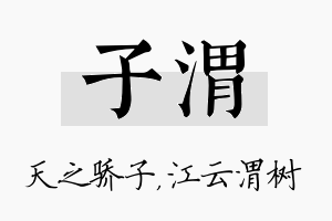 子渭名字的寓意及含义