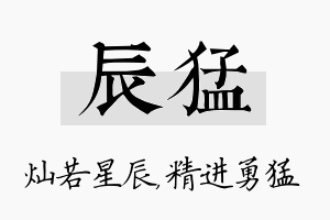 辰猛名字的寓意及含义