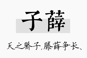 子薛名字的寓意及含义