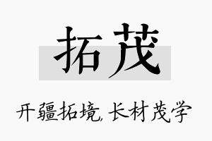 拓茂名字的寓意及含义