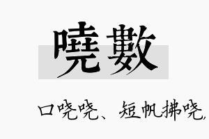 哓数名字的寓意及含义