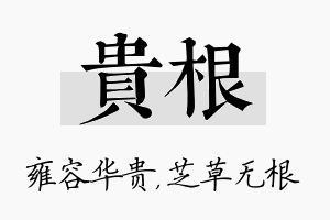 贵根名字的寓意及含义