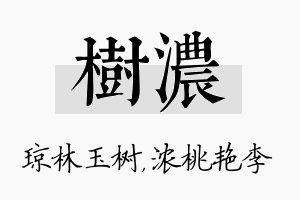 树浓名字的寓意及含义